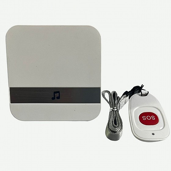 ���� ����� ������