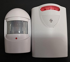 ����� ������ ������