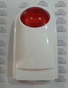 ����� ������� ������ �����