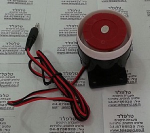 ����� ������ �����