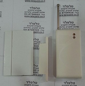 ���� ������ �������