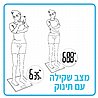 משקל אדם משוכלל
